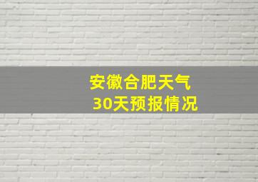 安徽合肥天气30天预报情况