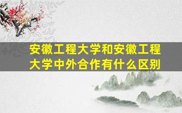 安徽工程大学和安徽工程大学中外合作有什么区别