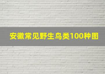 安徽常见野生鸟类100种图