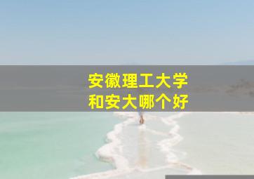 安徽理工大学和安大哪个好