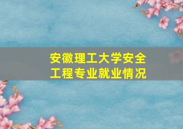 安徽理工大学安全工程专业就业情况