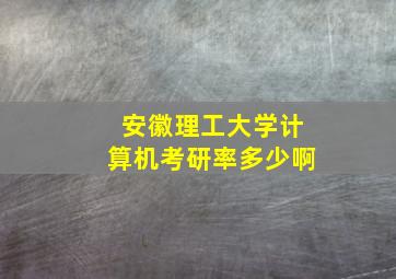 安徽理工大学计算机考研率多少啊