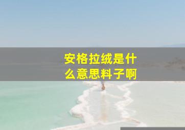 安格拉绒是什么意思料子啊