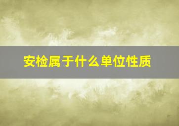 安检属于什么单位性质