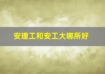 安理工和安工大哪所好