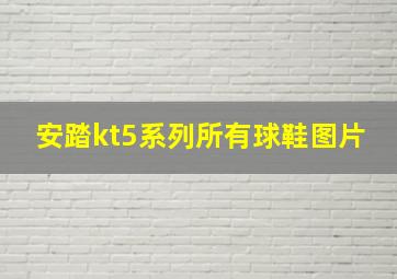 安踏kt5系列所有球鞋图片