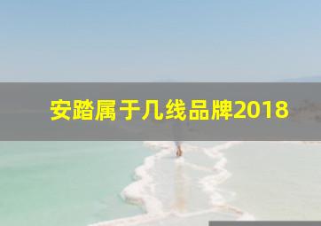 安踏属于几线品牌2018