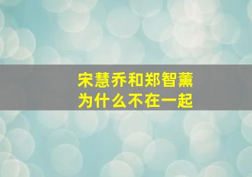 宋慧乔和郑智薰为什么不在一起