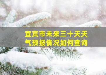 宜宾市未来三十天天气预报情况如何查询