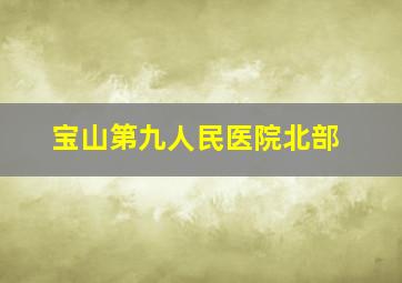 宝山第九人民医院北部