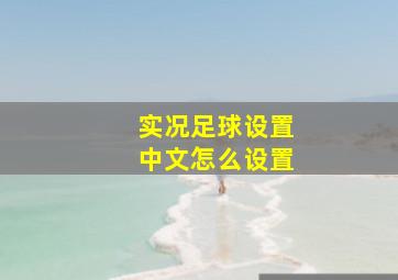 实况足球设置中文怎么设置