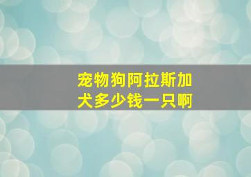 宠物狗阿拉斯加犬多少钱一只啊