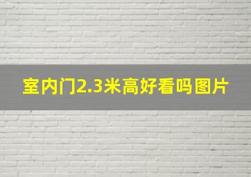 室内门2.3米高好看吗图片