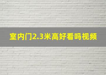 室内门2.3米高好看吗视频