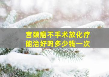 宫颈癌不手术放化疗能治好吗多少钱一次