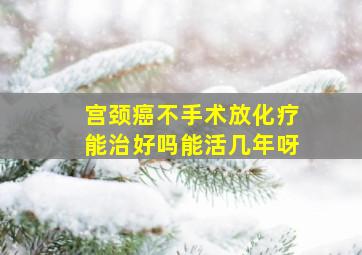 宫颈癌不手术放化疗能治好吗能活几年呀