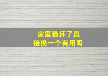 家里猫坏了直接换一个有用吗