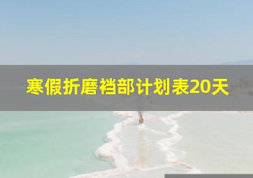 寒假折磨裆部计划表20天