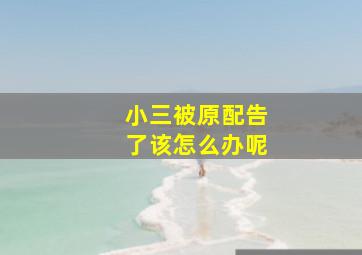 小三被原配告了该怎么办呢