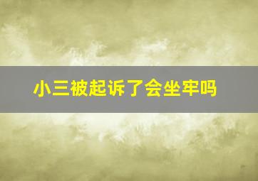 小三被起诉了会坐牢吗