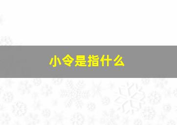 小令是指什么