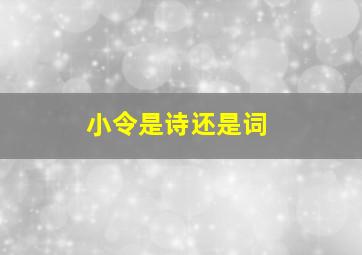 小令是诗还是词