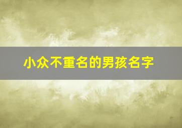 小众不重名的男孩名字