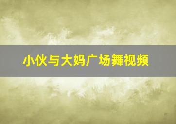 小伙与大妈广场舞视频