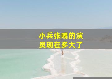 小兵张嘎的演员现在多大了