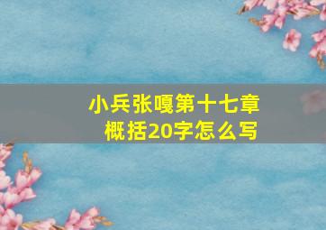 小兵张嘎第十七章概括20字怎么写