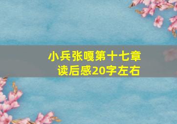 小兵张嘎第十七章读后感20字左右