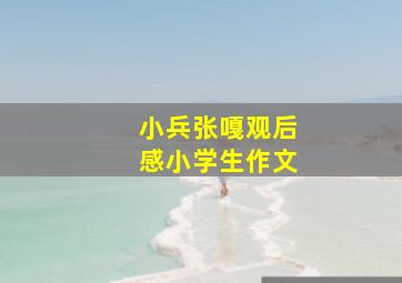 小兵张嘎观后感小学生作文