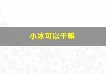 小冰可以干嘛