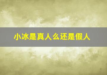 小冰是真人么还是假人