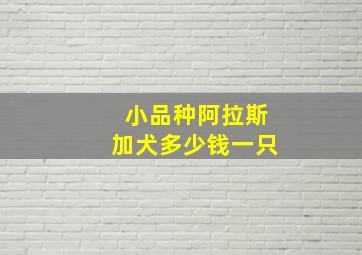 小品种阿拉斯加犬多少钱一只