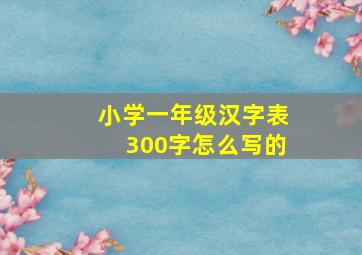 小学一年级汉字表300字怎么写的