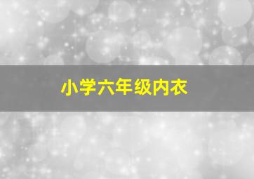 小学六年级内衣