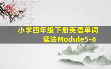 小学四年级下册英语单词读法Module5-6