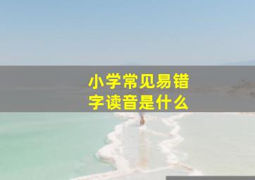 小学常见易错字读音是什么