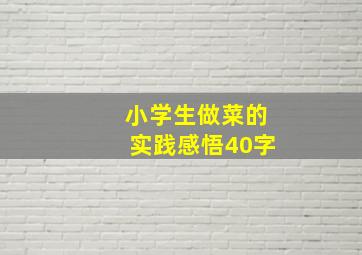 小学生做菜的实践感悟40字