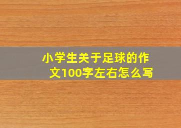 小学生关于足球的作文100字左右怎么写