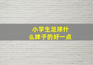 小学生足球什么牌子的好一点