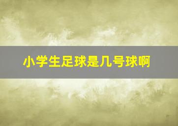 小学生足球是几号球啊