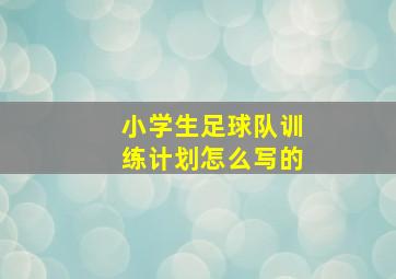 小学生足球队训练计划怎么写的