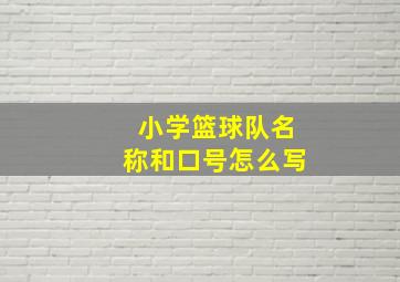 小学篮球队名称和口号怎么写