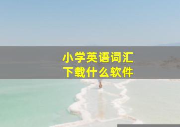 小学英语词汇下载什么软件