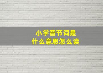 小学音节词是什么意思怎么读