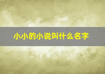 小小的小说叫什么名字