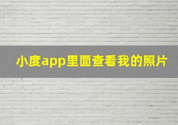 小度app里面查看我的照片