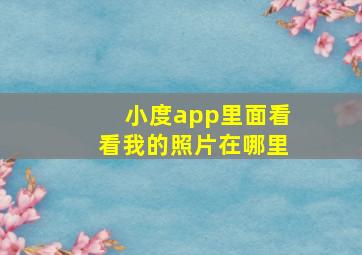 小度app里面看看我的照片在哪里